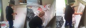 we start them young